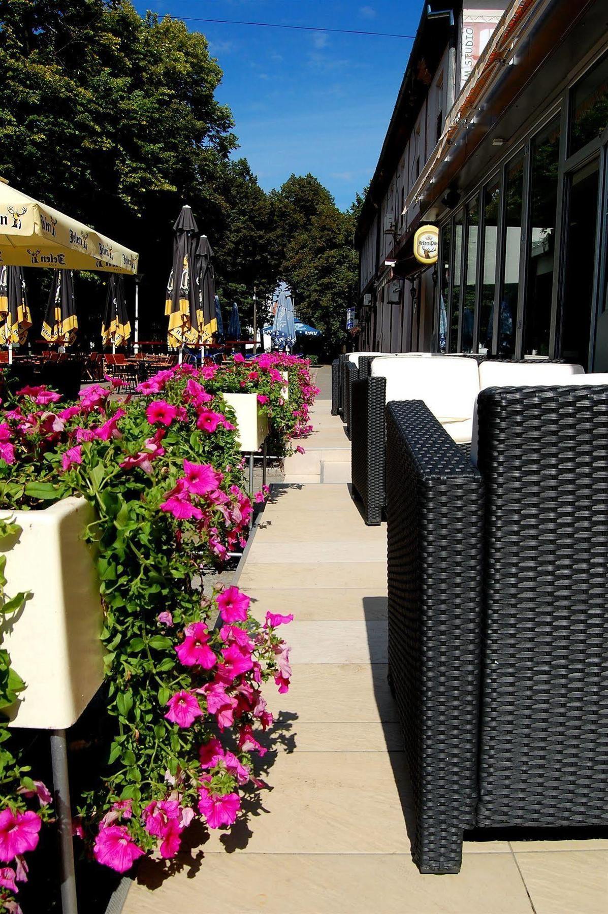 Hotel Tiski Cvet Novi Bečej Екстериор снимка